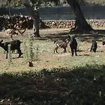 Vakantieboerderij Tenuta Ferraro Gallipoli