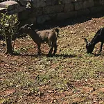 Vakantieboerderij Tenuta Ferraro *