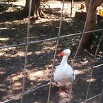 Tenuta Ferraro Vakantieboerderij