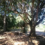 Tenuta Ferraro Vakantieboerderij *