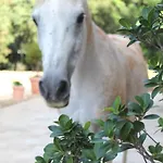 Tenuta Ferraro Vakantieboerderij