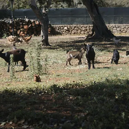 Farm stay Tenuta Ferraro Gallipoli