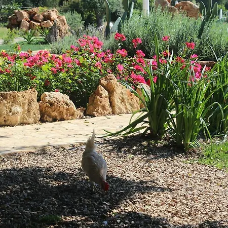 Farm stay Tenuta Ferraro