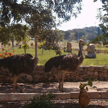 Tenuta Ferraro Farm stay *