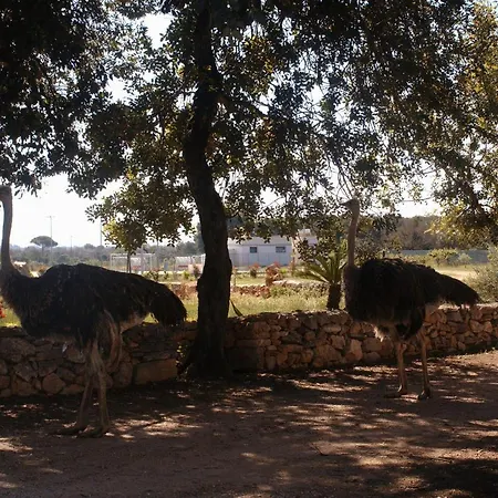 Farm stay Tenuta Ferraro Gallipoli