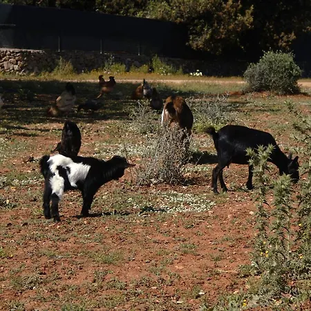 Farm stay Tenuta Ferraro Gallipoli