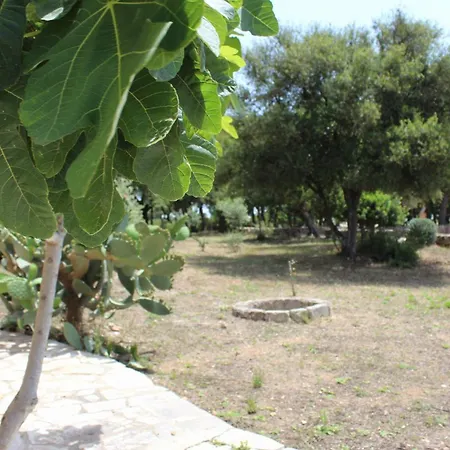 Tenuta Ferraro Farm stay