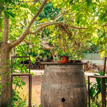 Tenuta Ferraro Farm stay Gallipoli