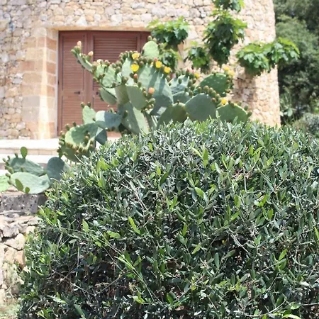 Séjour à la ferme Tenuta Ferraro