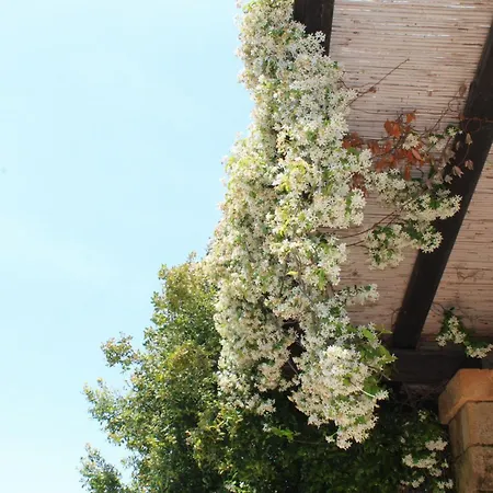 Tenuta Ferraro Farm stay