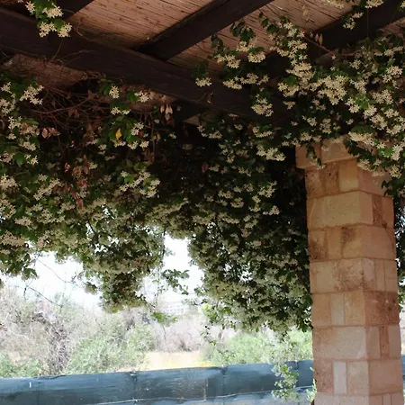 Farm stay Tenuta Ferraro