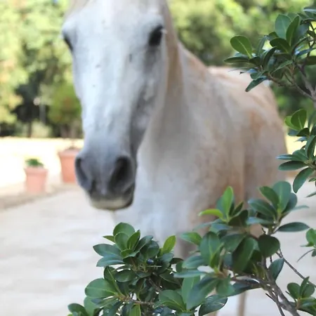 Tenuta Ferraro Vakantieboerderij