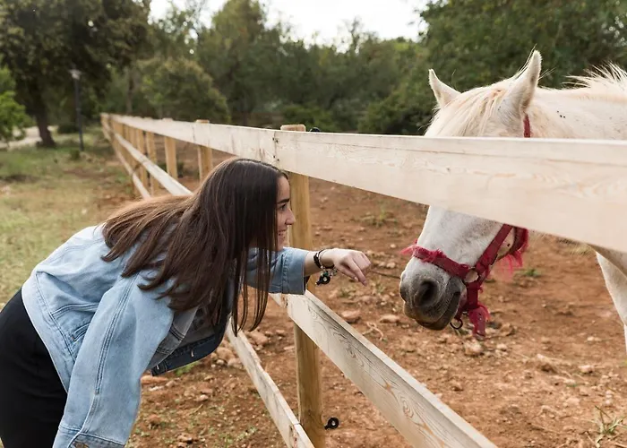 Tenuta Ferraro 갈리폴리