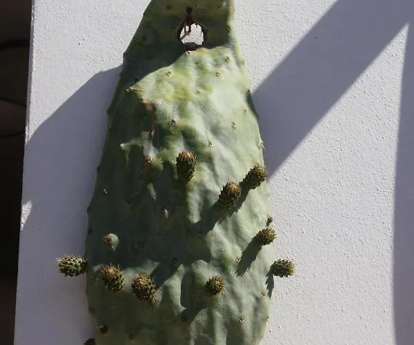 팜스테이 Tenuta Ferraro