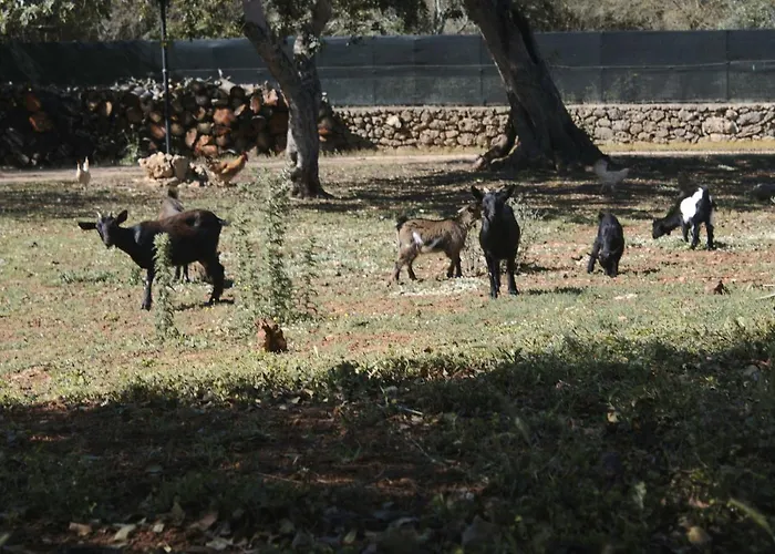 팜스테이 Tenuta Ferraro 갈리폴리