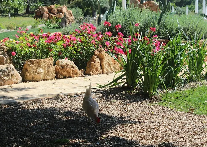 팜스테이 Tenuta Ferraro