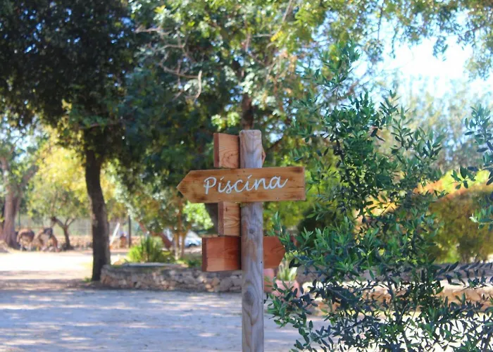 Tenuta Ferraro 팜스테이 *