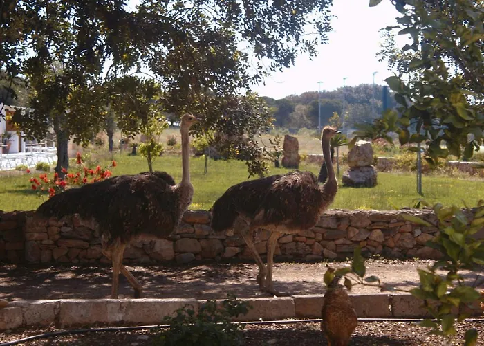 Tenuta Ferraro 팜스테이 *