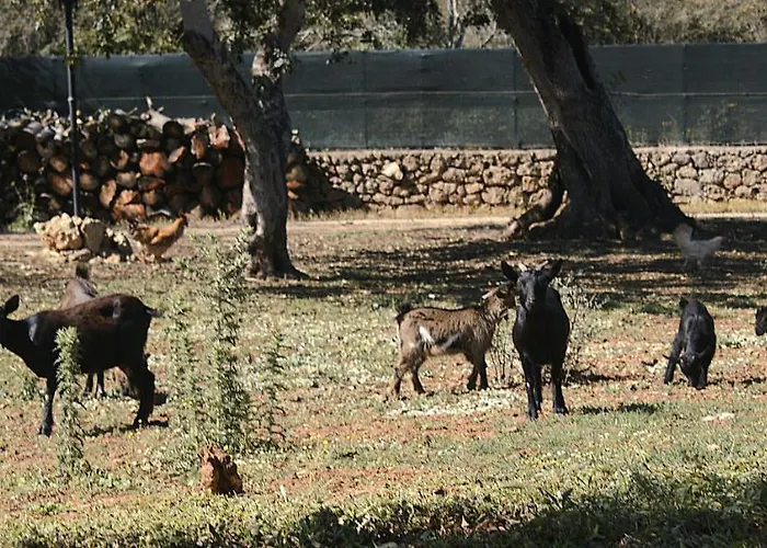 Tenuta Ferraro * 갈리폴리