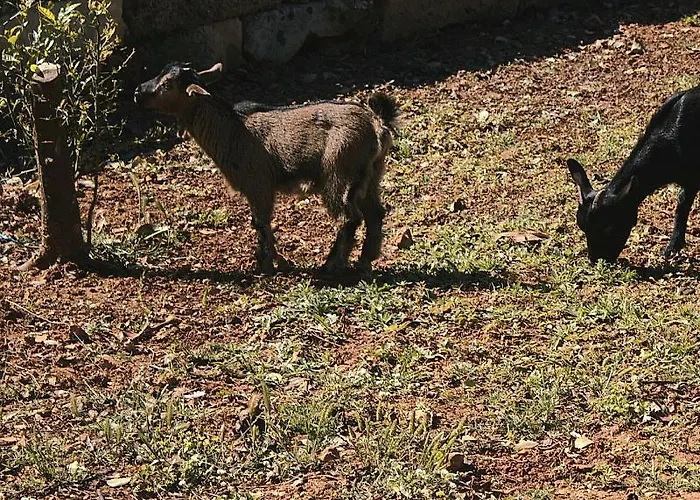 팜스테이 Tenuta Ferraro *