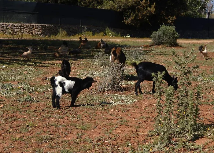 팜스테이 Tenuta Ferraro 갈리폴리