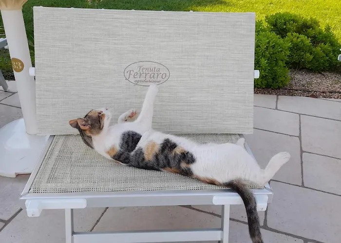 Tenuta Ferraro 갈리폴리