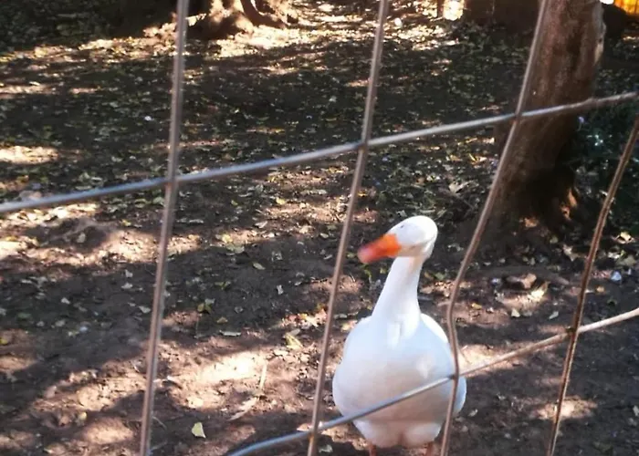 Tenuta Ferraro 팜스테이